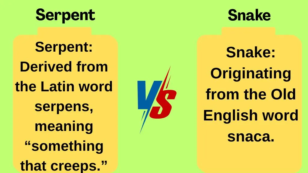 Serpent vs Snake