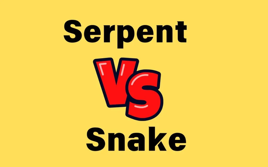 Serpent vs Snake