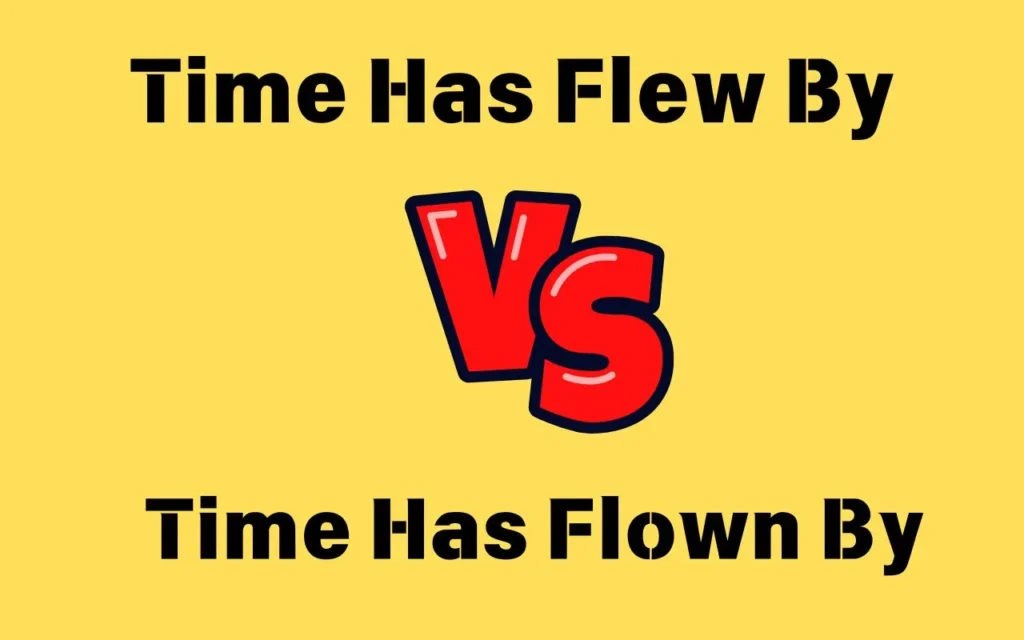 Time Has Flew By or Time Has Flown By