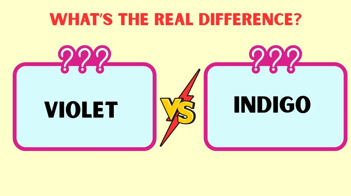 Violet vs Indigo vs Purple