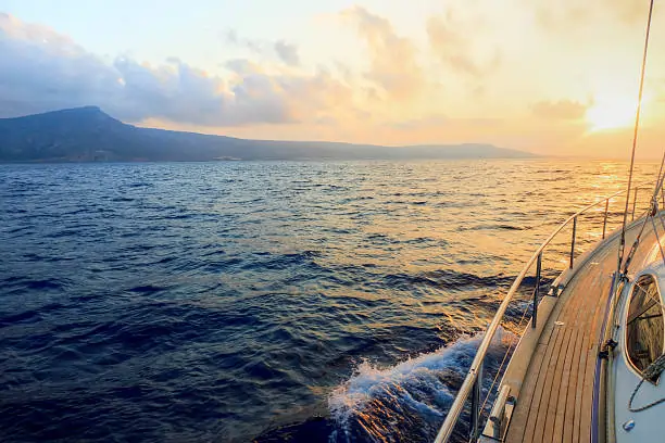 Captivating Moments on a Dolphin Cruise Hilton Head Island