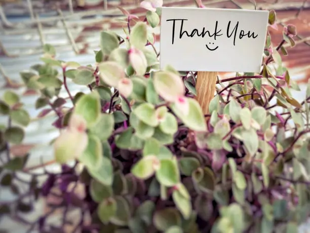 Practical Tips To Cultivate Gratitude