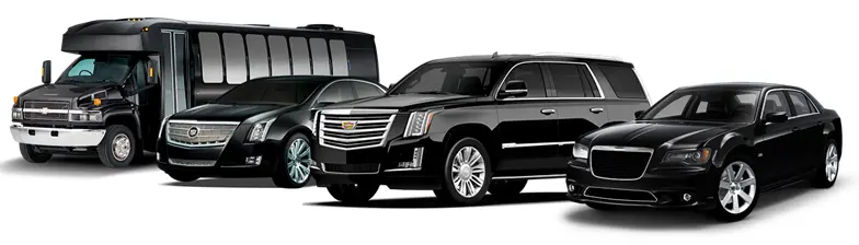 ​Executive-Level Corporate Transportation in Chicago Metropolitan Area